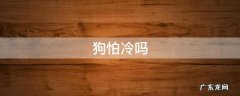 小奶狗怕冷吗 狗怕冷吗
