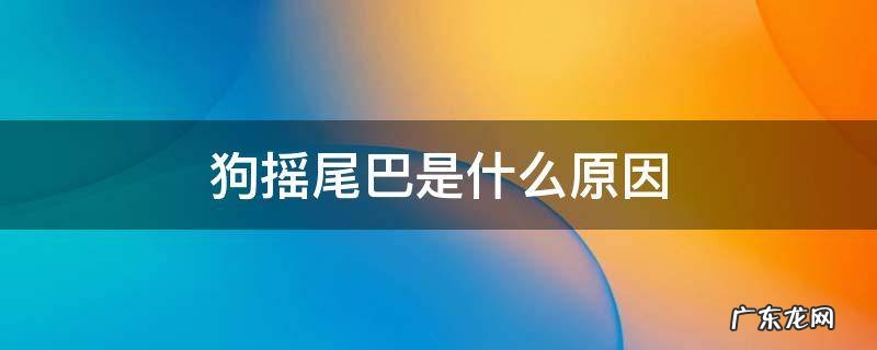 狗摇尾巴的原因 狗摇尾巴是什么原因