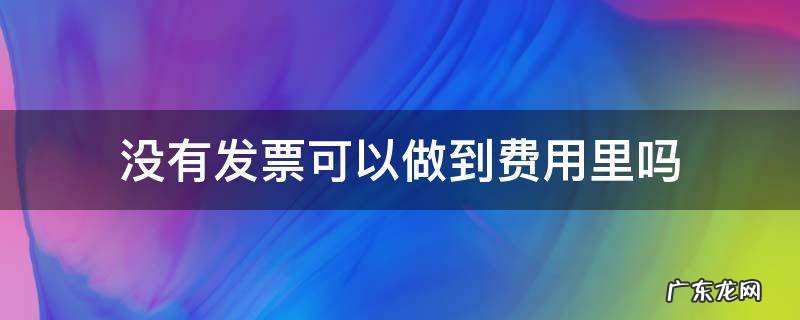 没有发票可以进管理费用吗 没有发票可以做到费用里吗