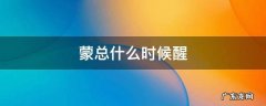 蒙总什么时候醒 蒙总什么时候醒第几集