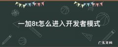 一加8t怎么进入开发者模式 一加8t怎么进入开发者模式密码