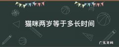 猫咪两岁等于多长时间 猫咪两个月等于几岁