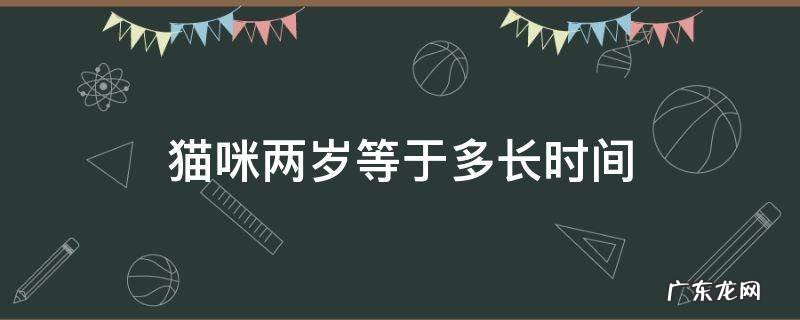 猫咪两岁等于多长时间 猫咪两个月等于几岁