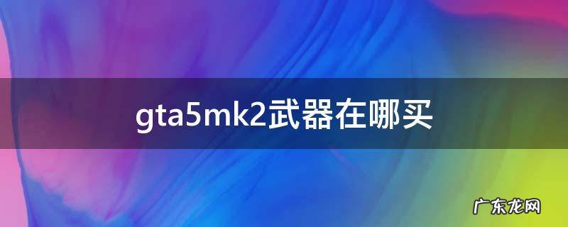 gta5mk2武器在哪里买 gta5mk2武器在哪买