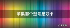 苹果哪个型号是双卡 iphone几是双卡双待