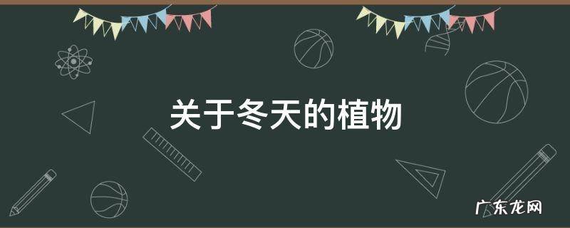 关于冬天的植物有哪些 关于冬天的植物