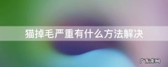 猫掉毛厉害咋办 猫掉毛严重有什么方法解决