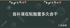 自补液在轮胎里多久会干 补胎液在轮胎里面多久能干