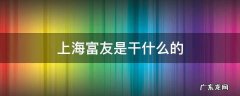 上海富友是干嘛的 上海富友是干什么的
