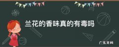 兰花的香味真的有毒吗 兰花的味道对人有害吗?
