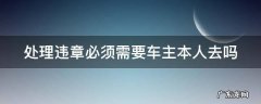处理违章必须要车主本人到场吗 处理违章必须需要车主本人去吗