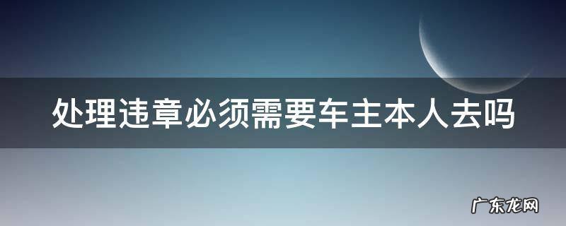处理违章必须要车主本人到场吗 处理违章必须需要车主本人去吗