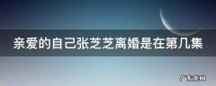 亲爱的自己张芝芝离婚是在第几集出现的 亲爱的自己张芝芝离婚是在第几集