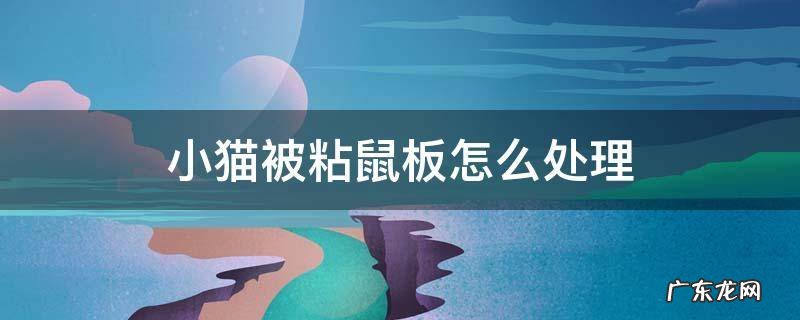小猫被粘鼠板怎么处理,用水洗完了,咋办 小猫被粘鼠板怎么处理