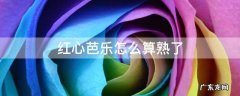 红芭乐怎样算是成熟了 红心芭乐怎么算熟了