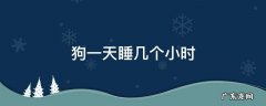 一个月大的小狗一天睡几个小时 狗一天睡几个小时