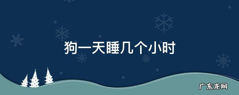 一个月大的小狗一天睡几个小时 狗一天睡几个小时