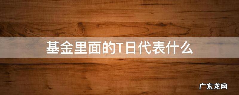基金里面的T日代表什么 基金t日和t+1日是什么意思