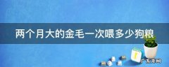 两个月大的金毛一次喂多少狗粮合适 两个月大的金毛一次喂多少狗粮