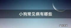 小狗常见病有哪些 小狗常见病及病症
