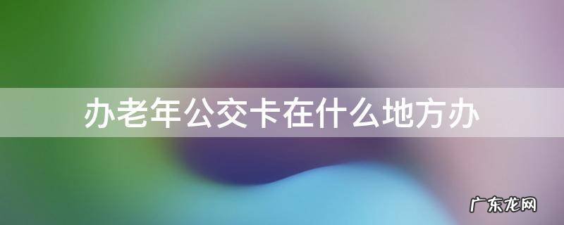 办老年公交卡在什么地方办成都 办老年公交卡在什么地方办
