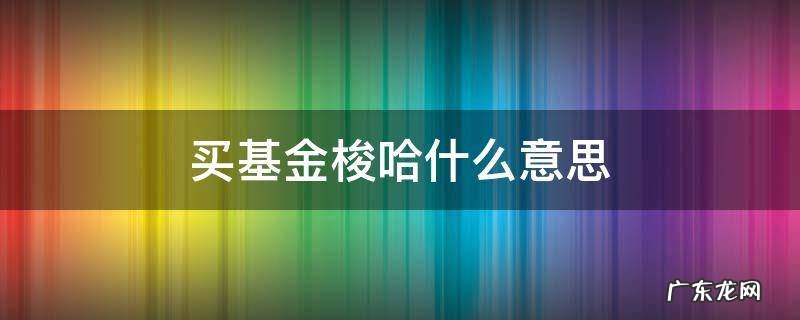 买基金梭哈什么意思 买基金全部梭哈是什么意思