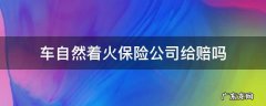 车自然着火保险公司给赔吗买了车损险 车自然着火保险公司给赔吗