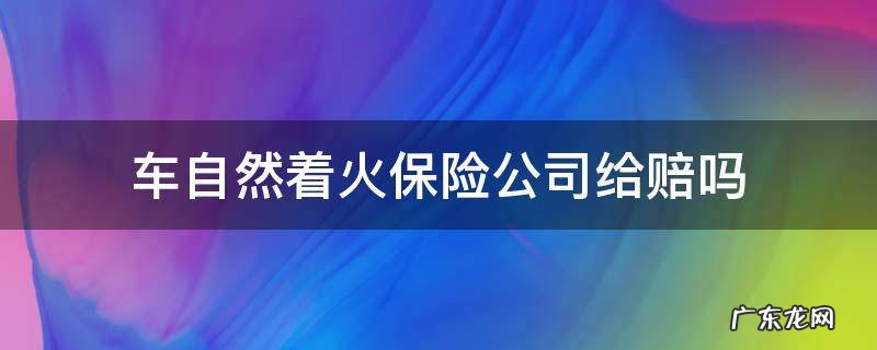 车自然着火保险公司给赔吗买了车损险 车自然着火保险公司给赔吗