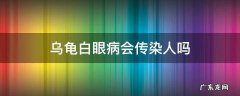 乌龟白眼病会传染其他乌龟吗 乌龟白眼病会传染人吗