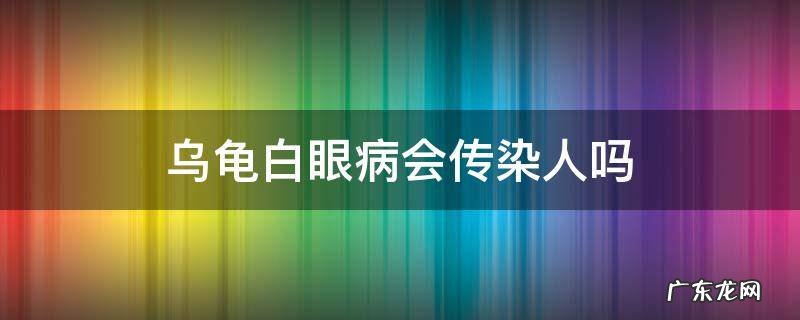 乌龟白眼病会传染其他乌龟吗 乌龟白眼病会传染人吗