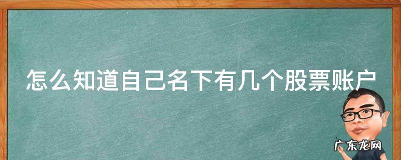 如何查看自己名下有几个股票账户 怎么知道自己名下有几个股票账户
