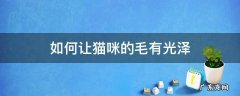 如何让猫咪的毛有光泽 怎么样让猫咪毛色亮泽