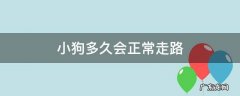 小狗多久可以正常走路 小狗多久会正常走路