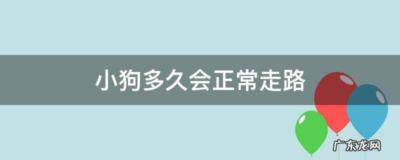 小狗多久可以正常走路 小狗多久会正常走路