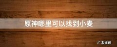 原神 小麦哪里找 原神哪里可以找到小麦