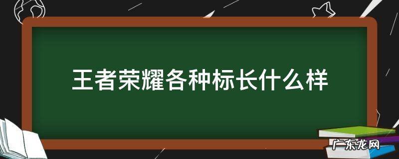 王者荣耀各种标长什么样 王者标长啥样?