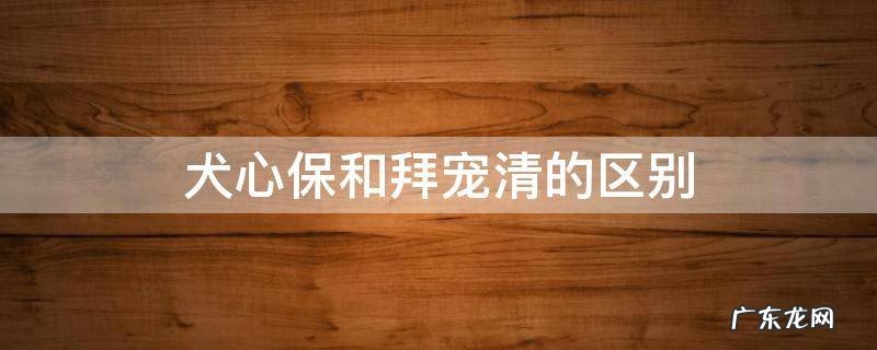 犬心保和拜宠清哪个好 犬心保和拜宠清的区别