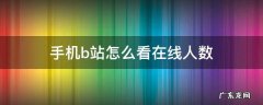 手机b站在线人数 手机b站怎么看在线人数