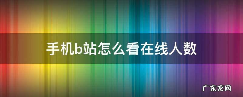 手机b站在线人数 手机b站怎么看在线人数