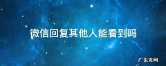 微信回复人的消息其他人能看到吗 微信回复其他人能看到吗