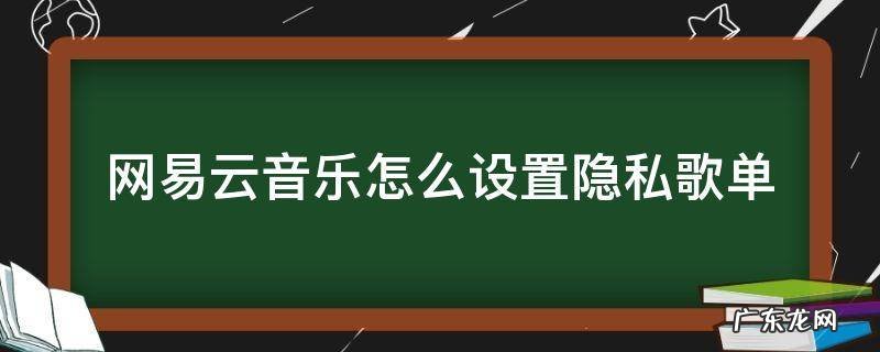 网易云音乐怎么设置为隐私歌单 网易云音乐怎么设置隐私歌单