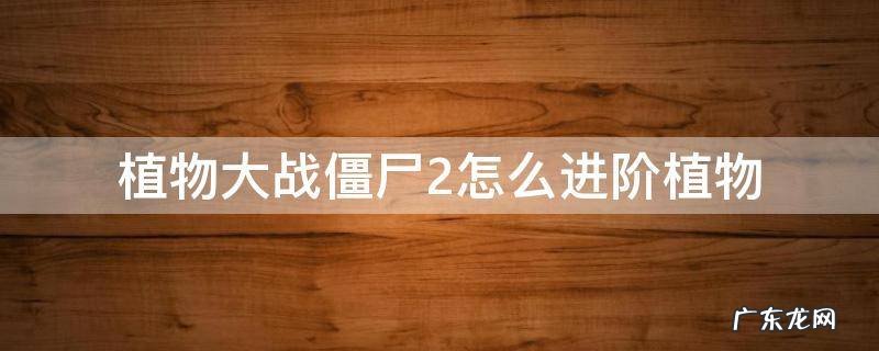 植物大战僵尸2怎么进阶植物5 植物大战僵尸2怎么进阶植物