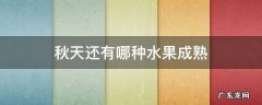 秋天还有哪种水果成熟?介绍颜色-形状和味道 秋天还有哪种水果成熟