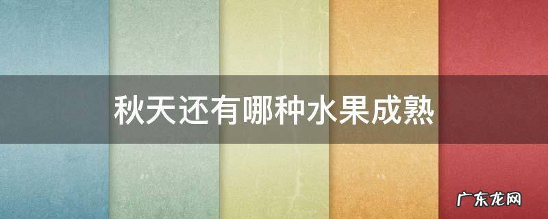 秋天还有哪种水果成熟?介绍颜色-形状和味道 秋天还有哪种水果成熟