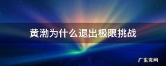 黄渤为什么退出极限挑战 孙红雷黄磊黄渤为什么退出极限挑战