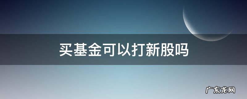 买基金可以打新股吗 买股票基金可以打新股吗
