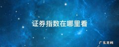 怎么看证券公司指数 证券指数在哪里看