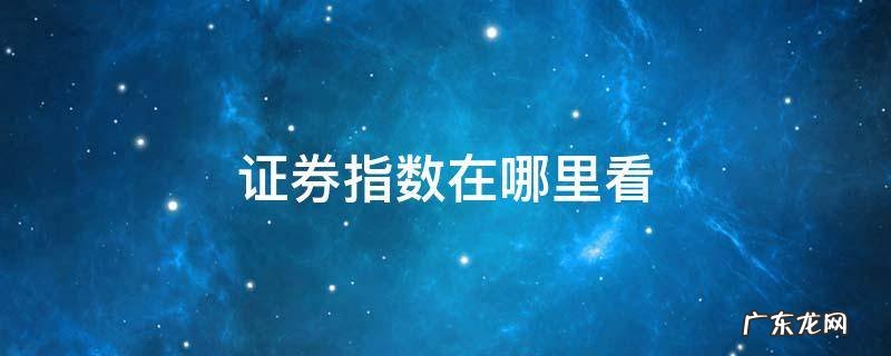怎么看证券公司指数 证券指数在哪里看