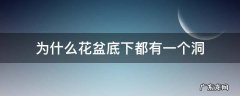 为什么花盆底下都有一个洞作文100字 为什么花盆底下都有一个洞