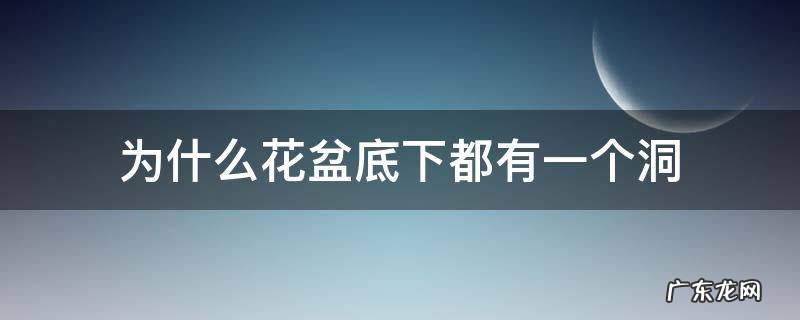 为什么花盆底下都有一个洞作文100字 为什么花盆底下都有一个洞